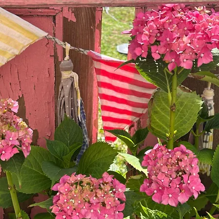 La Casita Del Ginkgo Apartment Burgos