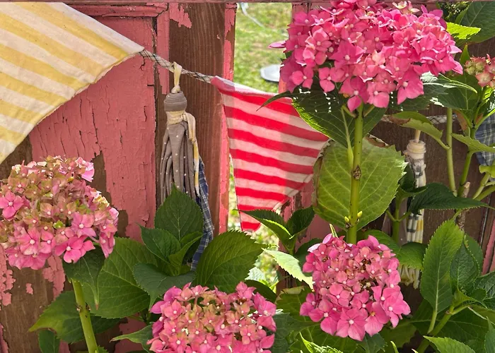 La Casita Del Ginkgo Apartment Burgos